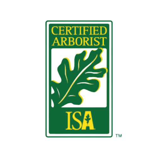 ISA Certified Arborist