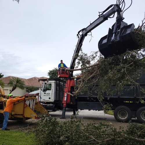 ACI grapple truck loading trimmed branches