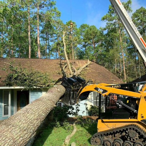 ACI removing a hurricane-downed tree from a house