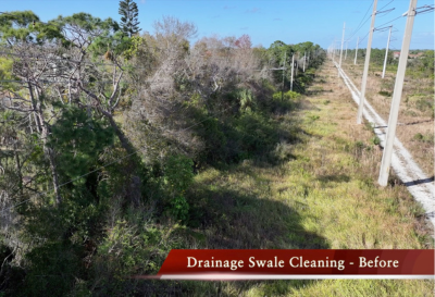 Overgrown drainage swale before cleaning