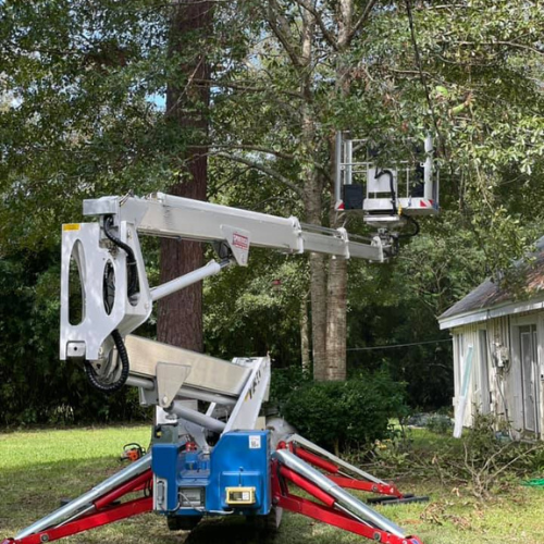 ACI crane and crew removing a large tree